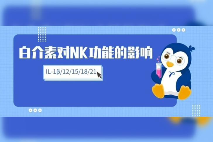 白介素对NK细胞功能的影响（IL-1β、IL-12、IL-15...）