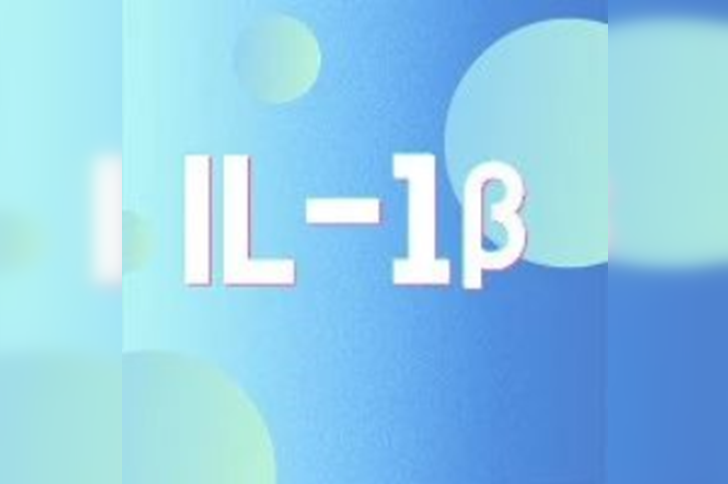 炎症关键靶点 IL-1β：那些你不得不了解的“痛”点