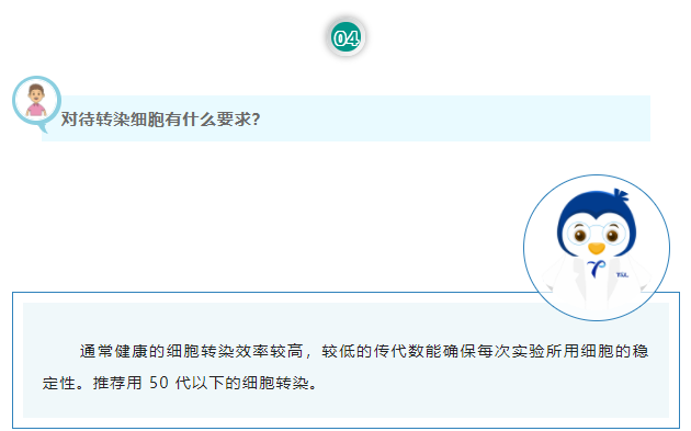 对待转染细胞有什么要求？通常健康的细胞转染效率较高，较低的传代数能确保每次实验所用细胞的稳定性。推荐用 50 代以下的细胞转染。