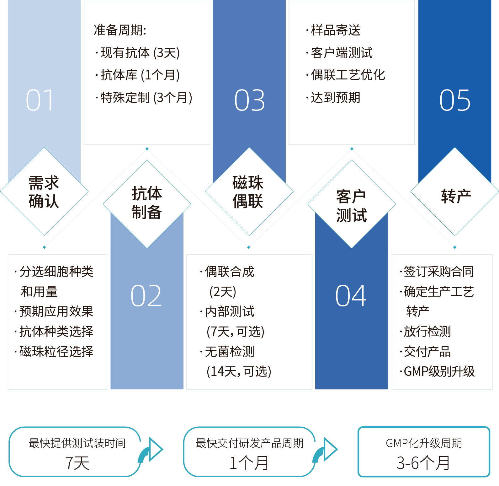 710公海官网细胞分选激活磁珠/分选磁珠定制，定制流程