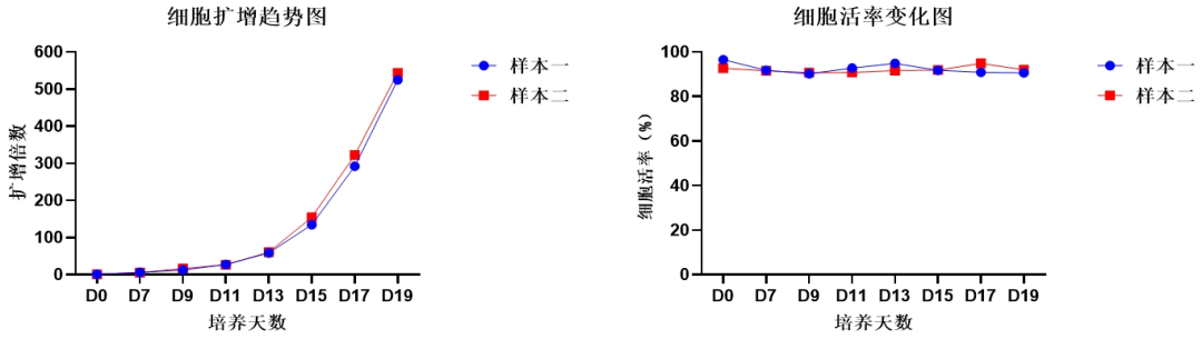 710公海官网,NK试剂盒套装3.0,脐血NK细胞培养,NK细胞培养