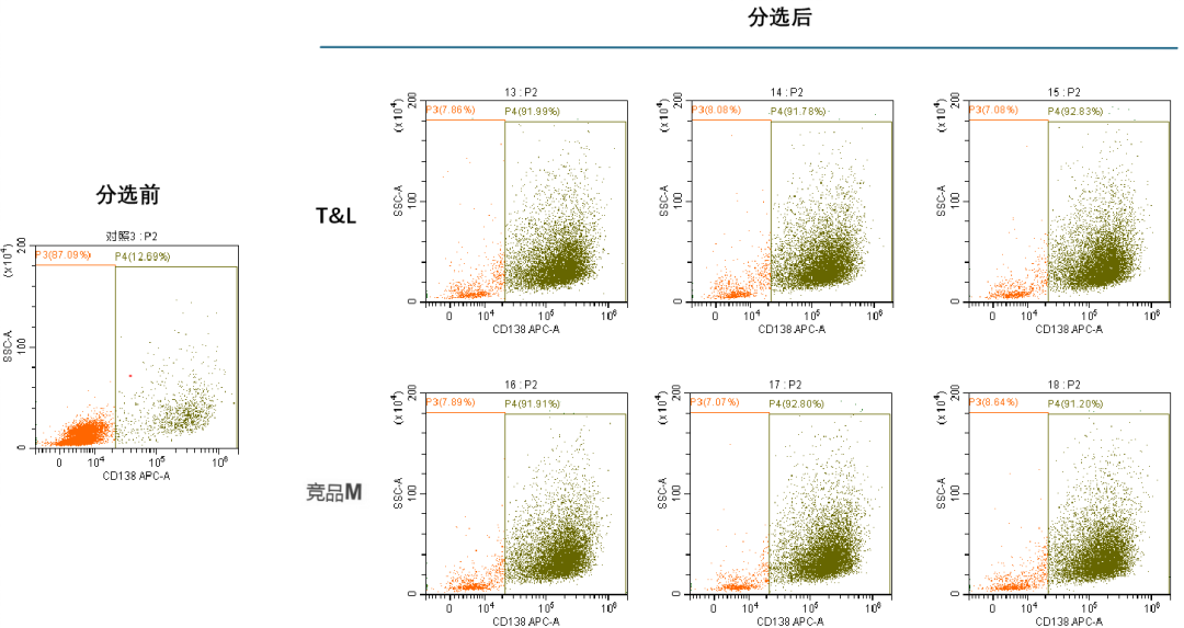 710公海官网新品上市-MaxSortin™CD138分选磁珠