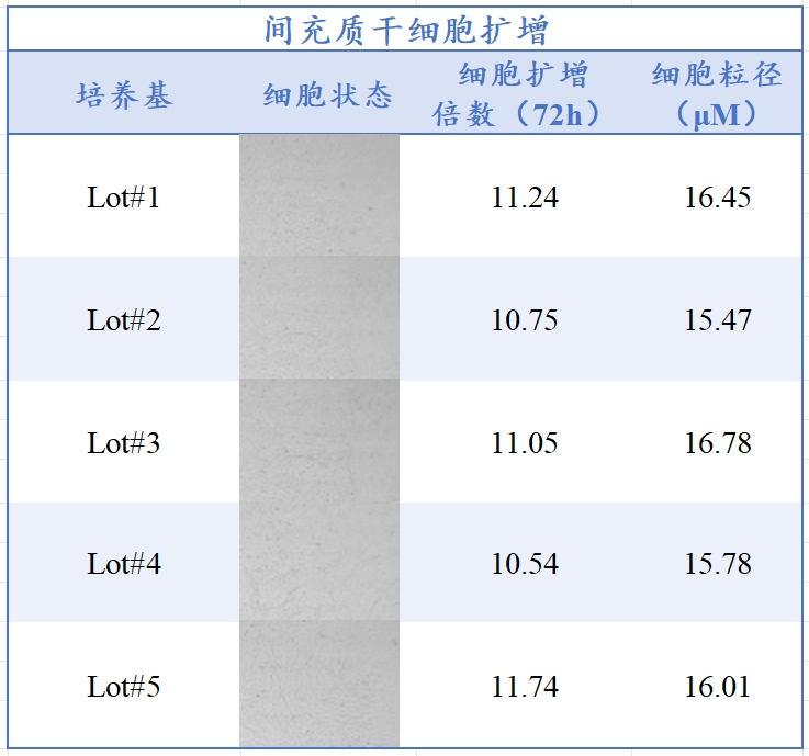 710公海官网生物MSC无血清培养工艺定制化服务