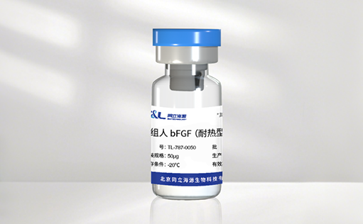 高温环境下的修复王者! 710公海官网新一代耐热型 bFGF 蛋白正式发布