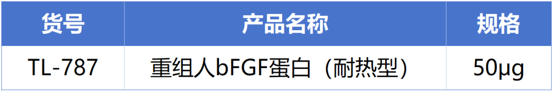 710公海官网新一代耐热型重组人bFGF蛋白正式发布！高温环境下的修复王者! 