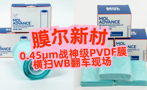 “膜”力加倍！膜尔新材战神级PVDF膜横扫WB翻车现场—0.45μm精准孔径狙杀各类蛋白，背景纯净如冰川